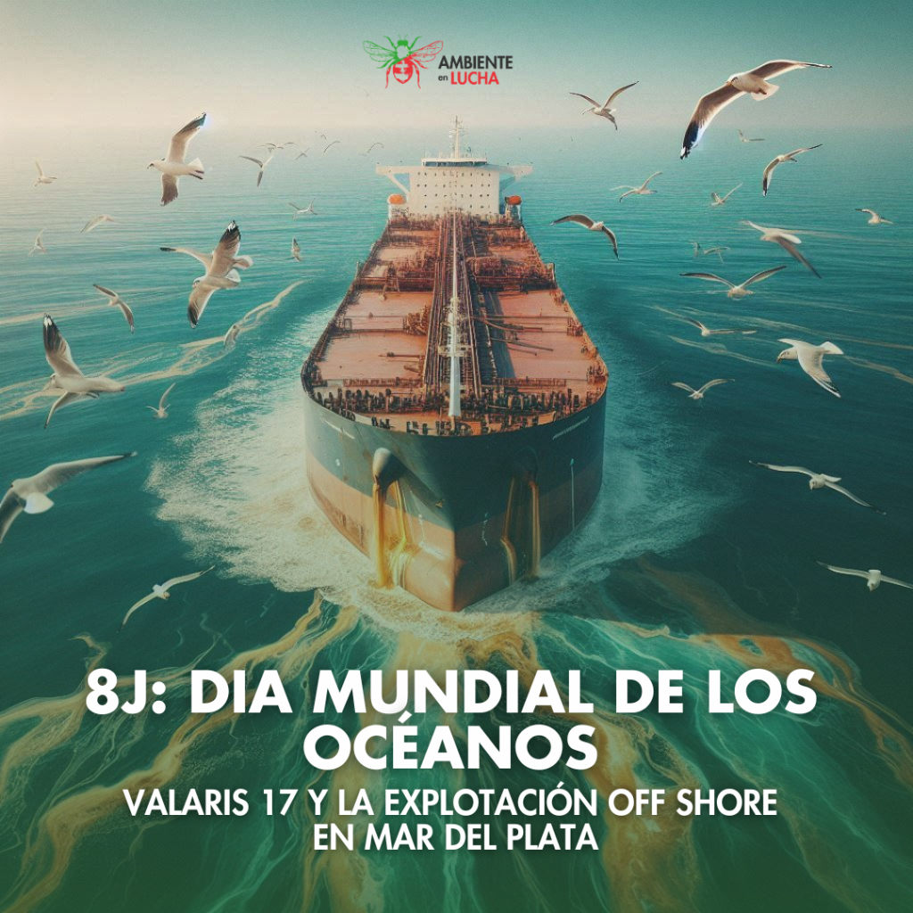 DÍA DE LOS OCEÁNOS: entrevista a integrante de la Asamblea por un Mar Libre de Petroleras